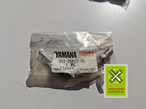 PXL_20240523_152453046